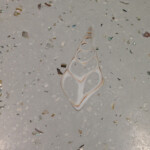 outdoor kitchen concrete counter detail shell